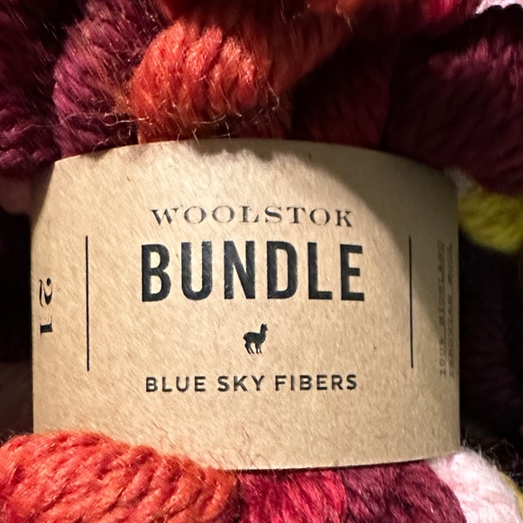 Blue Sky Woolstok Yarn in Rich Hues - Picture 2 of 6